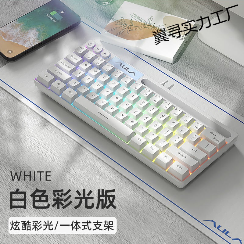 Wolf Spider F3061 Mechanical Feel Small And Convenient 64-Key Office Game Rgb Desktop Notebook Home - Image 2